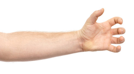 Male hand showing gesture holding something or someone isolate on white background