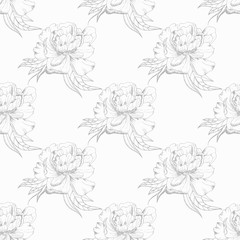 peony flower seamless floral pattern