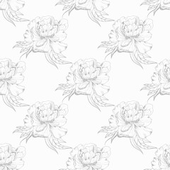 peony flower seamless floral pattern