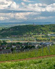 Fototapeta na wymiar View at the Bingen am Rhein