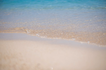 the soft wave rolls on fine yellow sand. sea background