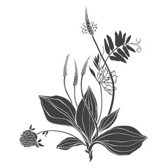 A bouquet of wildflowers and herbs. Summer background. Black and white vector illustration. Isolated element for design on white. Silhouette.