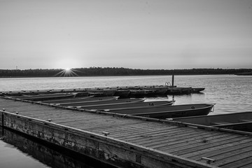 Black and white pier in the park
