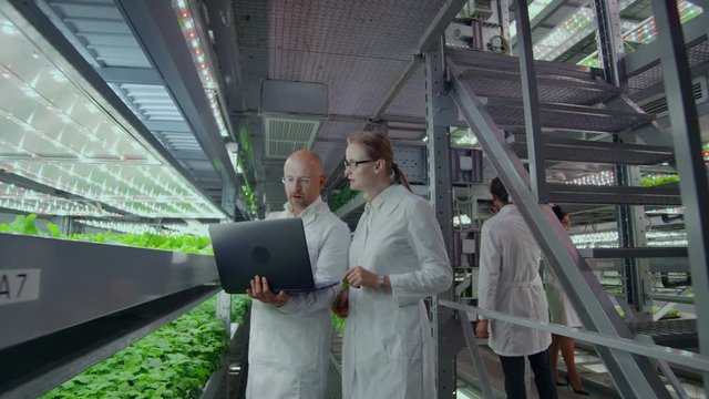 Modern vertical farm for growing fresh vegetables and lettuce, a team of scientists monitors and tests samples of greens and discusses the results of research