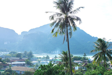 Fototapeta na wymiar landscape of green tropical island. Residential houses of local residents