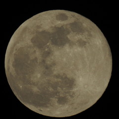 Supermond Februar 2019 © Anke