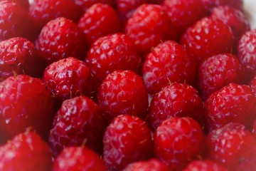 Red juicy berries. Raspberry close-up.