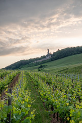 Niederwalddenkmal in Rudesheim am Rhein.