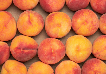 Fototapeta na wymiar ripe yellow-red round peaches lie in a row, full frame