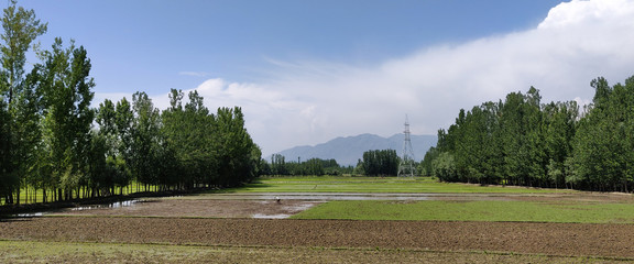 Farming Land of Jammu and Kashmir, India.