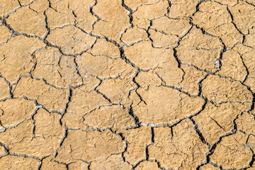 Dry cracked earth, brown ground texture.