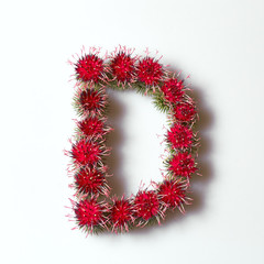 A letter from a flower to compose words in design.