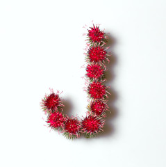 A letter from a flower to compose words in design.