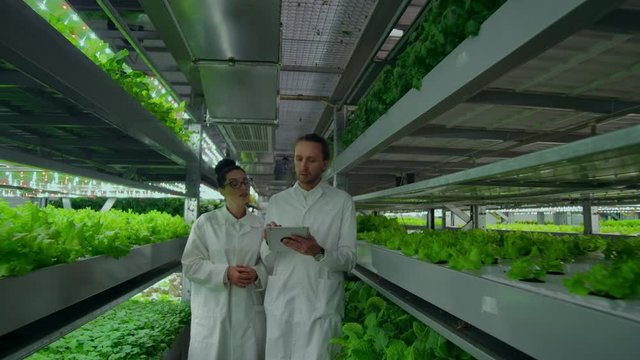 A group of scientists in white coats are on the corridor of a vertical farm with a tablet computer and discuss the plants