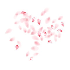 Pink sakura flower flying petals isolated on white vector background.