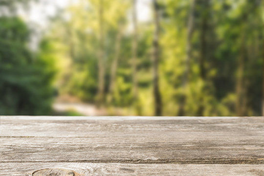 Wood hunter table in the forest. Blurred background. Stock Photo | Adobe  Stock