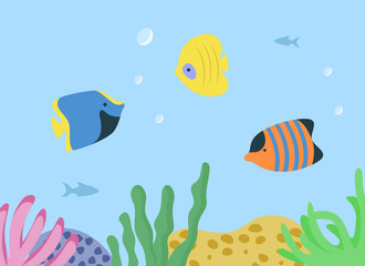 Naklejka premium Underwater seascape with sea or ocean fish species aquarium habitats. Vector striped orange, blue and yellow anemones, swimming animals in tank with corals