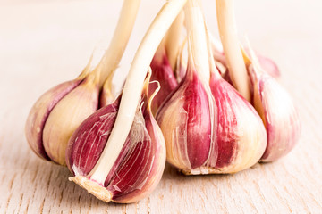 A bunch of garlic, food background, close-up.