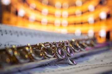 close-up of a flute against a concert hall background © angelo.gi