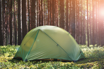 Tent in the green forest. Object in focus, background blurred