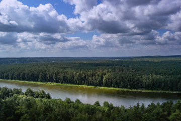 A beautiful view of the forest. Drone photography