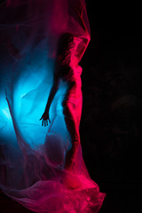 Slim girl dressed in underwear emotionally posing, wrapped in fluttering in the wind and fitting...