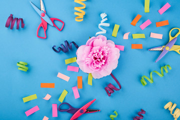 Pink flower with color papers and scissors on the blue background
