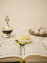 Opened quran with white rose and defocused background