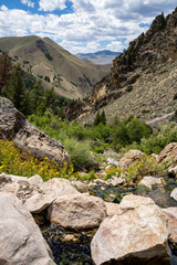 Fototapeta na wymiar Portrait orientation view of Goldbug Hot Springs in Idaho, in the Salmon-Challis National Forest on a summer day
