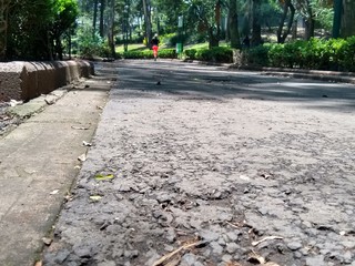 Visit and paths to the sunken park in Mexico City