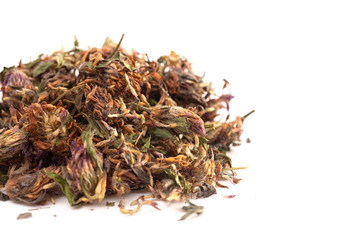 Dried Red Clover Flowers and Leaves on a White Background