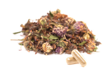 Dried Red Clover Flowers and Leaves on a White Background