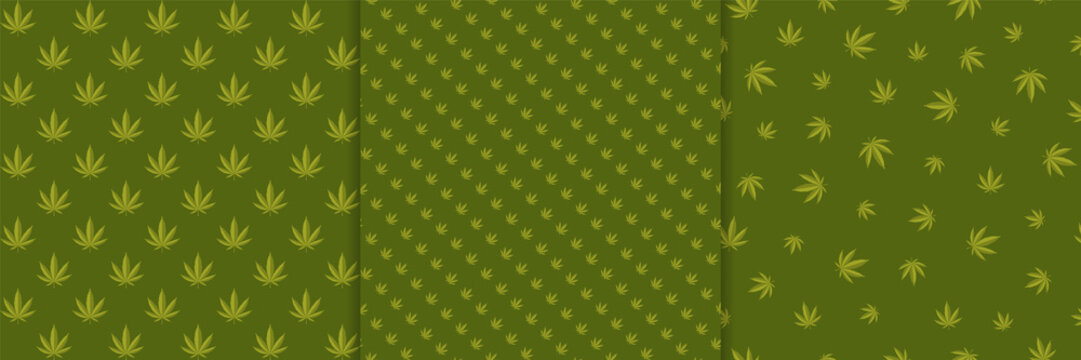 Cannabis Marijuana Leaf Medical Hemp Seamless Background Pattern Vector Set 