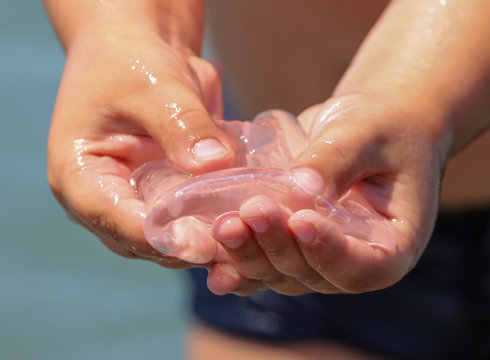 Medusa in the hands of the sea