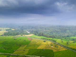 Fototapeta na wymiar beauty nature forest at paddy fields with cloudy