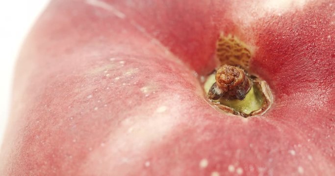 Donut peach isolated rotates on itself on white background. Snuffbox, Saturn, Tabacchiera rotation. Organic fruit.