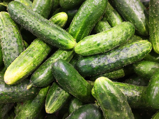 big pile of fresh cucumbers