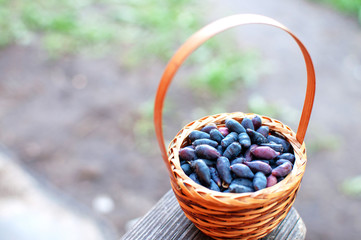 Fototapeta na wymiar basket with berries on the step