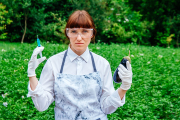Scientist biologist in a lab coat and protective gloves introduces a blue liquid into the vegetables, eggplant, against the background of green plants. Genetic breeding of vegetables