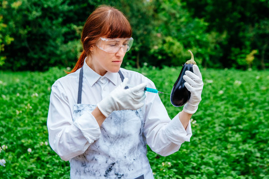 Scientist biologist in a lab coat and protective gloves introduces a blue liquid into the vegetables, eggplant, against the background of green plants. Genetic breeding of vegetables - Powered by Adobe