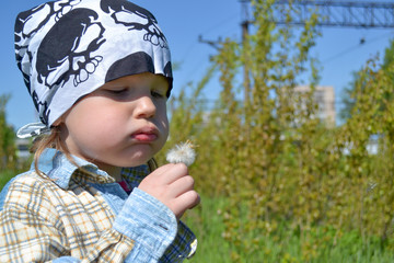 The little boy sniffs a dandelion