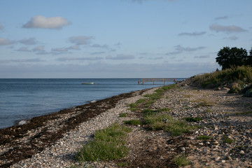 Fototapeta na wymiar schöner Ostsee Strand bei Hou, Langeland, Dänemark
