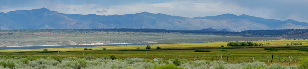 Panoramic view of Green wild land with sagebrush plant and mountain in the background during clouded summer day next the Lake Crowley, Eastern Sierra, Mono County, California, USA. 