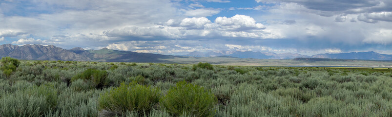 Panoramic view of Green wild land with sagebrush plant and mountain in the background during clouded summer day next the Lake Crowley, Eastern Sierra, Mono County, California, USA. 