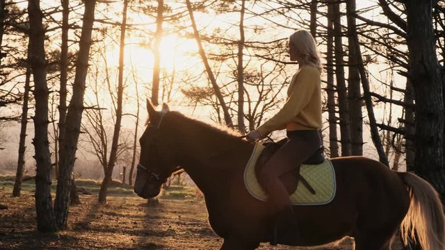 Attractive blonde woman rides the beautiful strong horse in the autumn wood slow motion