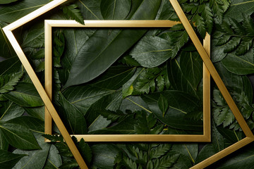 top view of golden frames on green leaves background