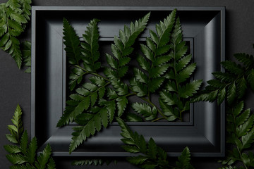 top view of black wooden frame with green fern leaves on black background