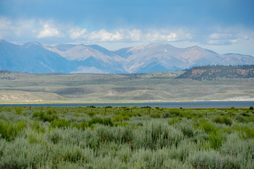 Panoramic view of Green wild land with sagebrush plant and mountain in the background during clouded summer day next the Lake Crowley, Eastern Sierra, Mono County, California, USA. 