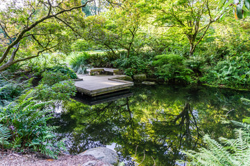 Fototapeta na wymiar Seattle Arboretum Pond Reflection 3