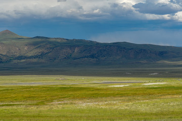 Long valley next to Lake Crowley, Mono County, California. USA. Green wetland with mountain on the background during clouded summer.